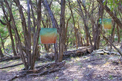 Art Galleries in Austin