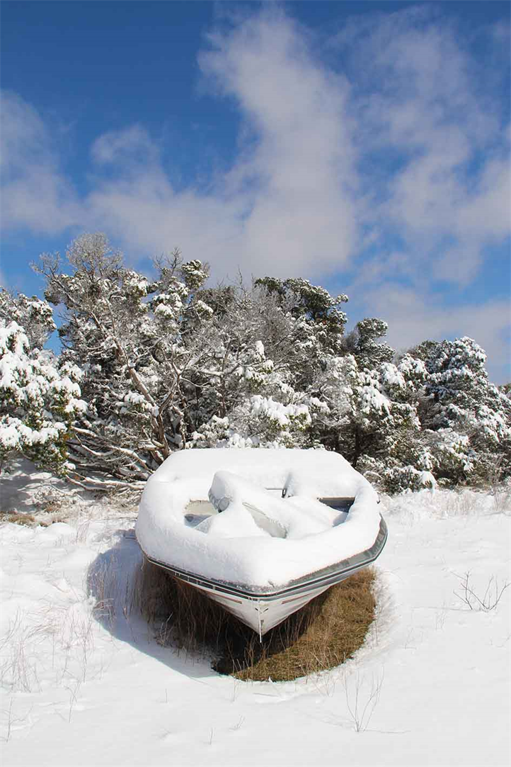 Austin Art Exhibition,
Austin Freeze 2021,
Photo Gallery Show,
Austin Art Museum:
Museum.ooo